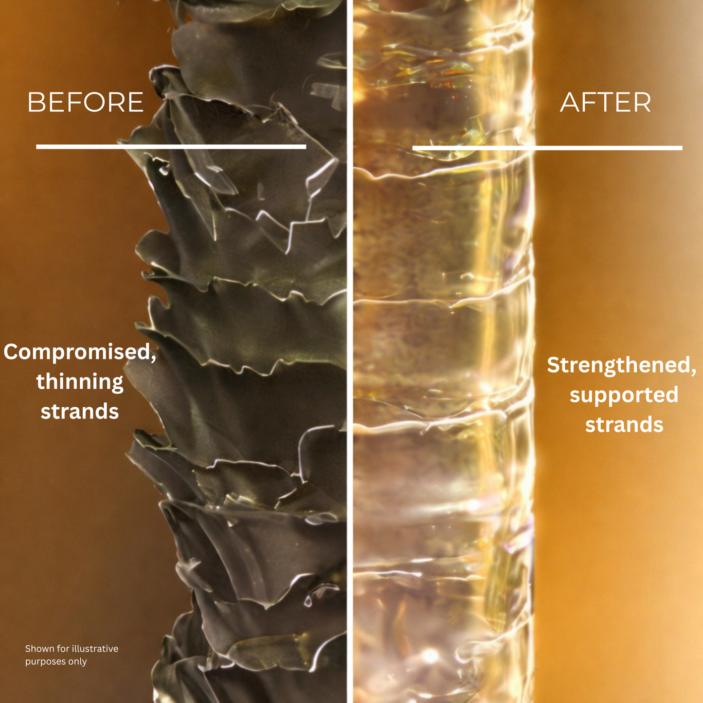 Caffeine + Peptides Growth Shampoo